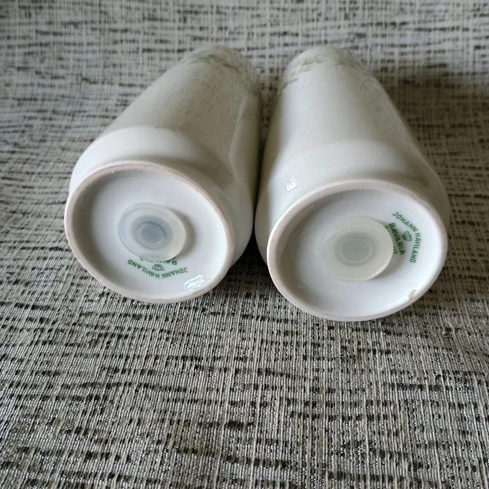 Johann Haviland Forever Spring Salt and Pepper Shakers Bavaria Germany Vintage